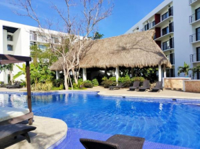 El roble Nuevo Vallarta
